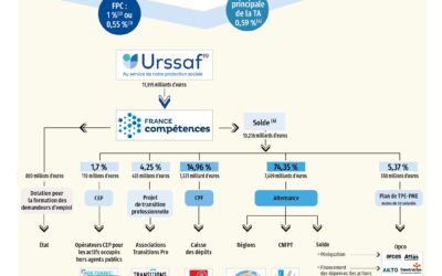 Transition professionnelle 2025 : la nouvelle gouvernance qui va changer la formation en France
