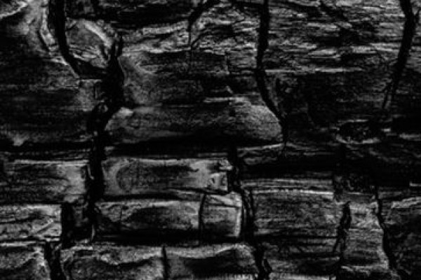 Le bois brûlé japonais (Yaki Sugi) : techniques, usages et mise en œuvre professionnelle