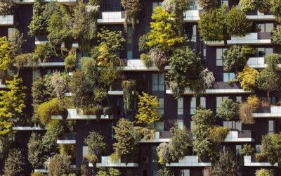 Mettre de la nature dans l’architecture